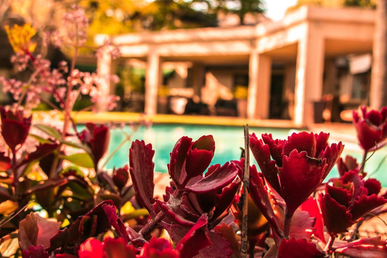 Lourie Lodge Sandton Εξωτερικό φωτογραφία